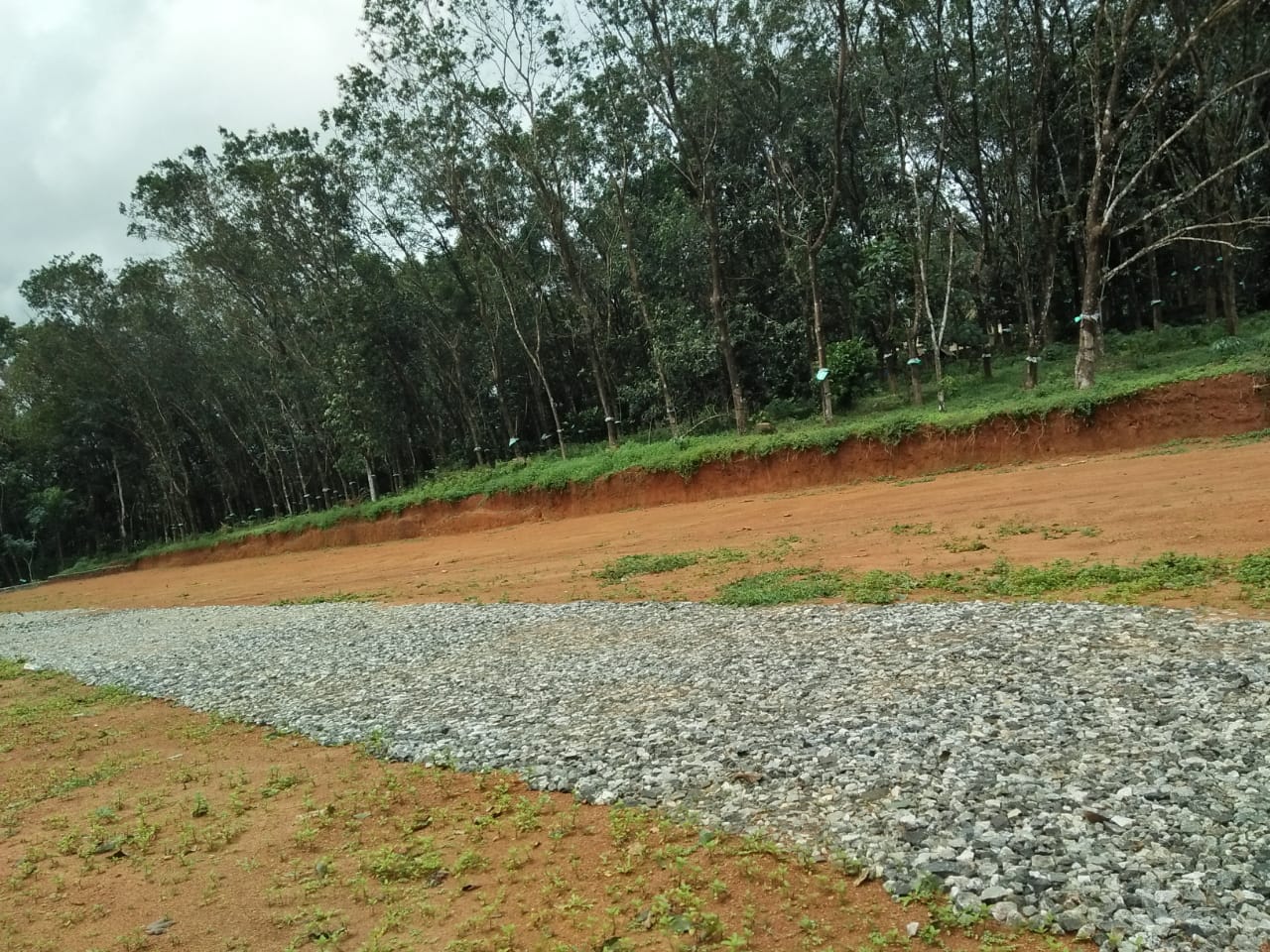 3BHK Fully Furnished House2700sqft in Kakkanad