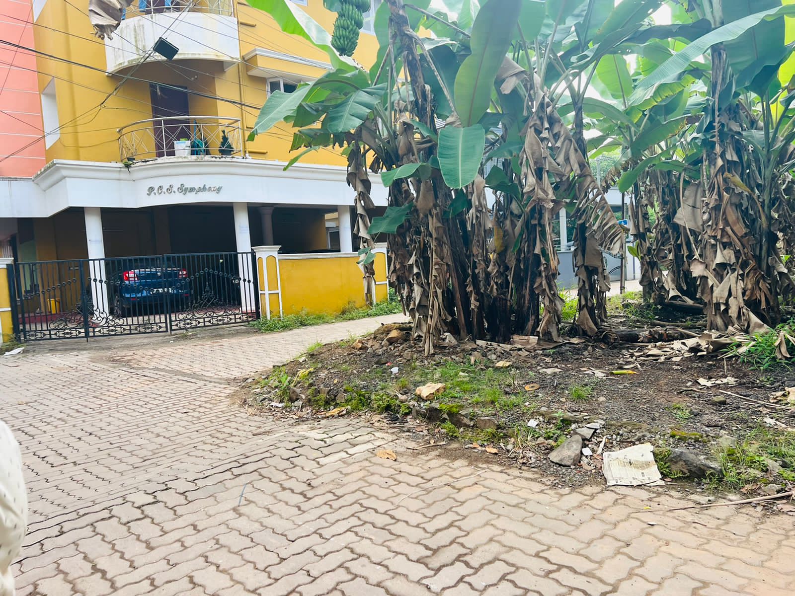 2000 sqft, 4BHK Semifurnished House in Pallikkara, Kakkanad