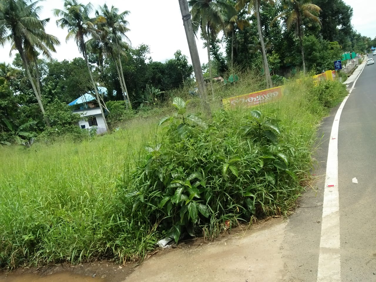 11 Cent Land  for sale. - for sale in Pallikkara, Kochi ( Ernakulam ), Kerala