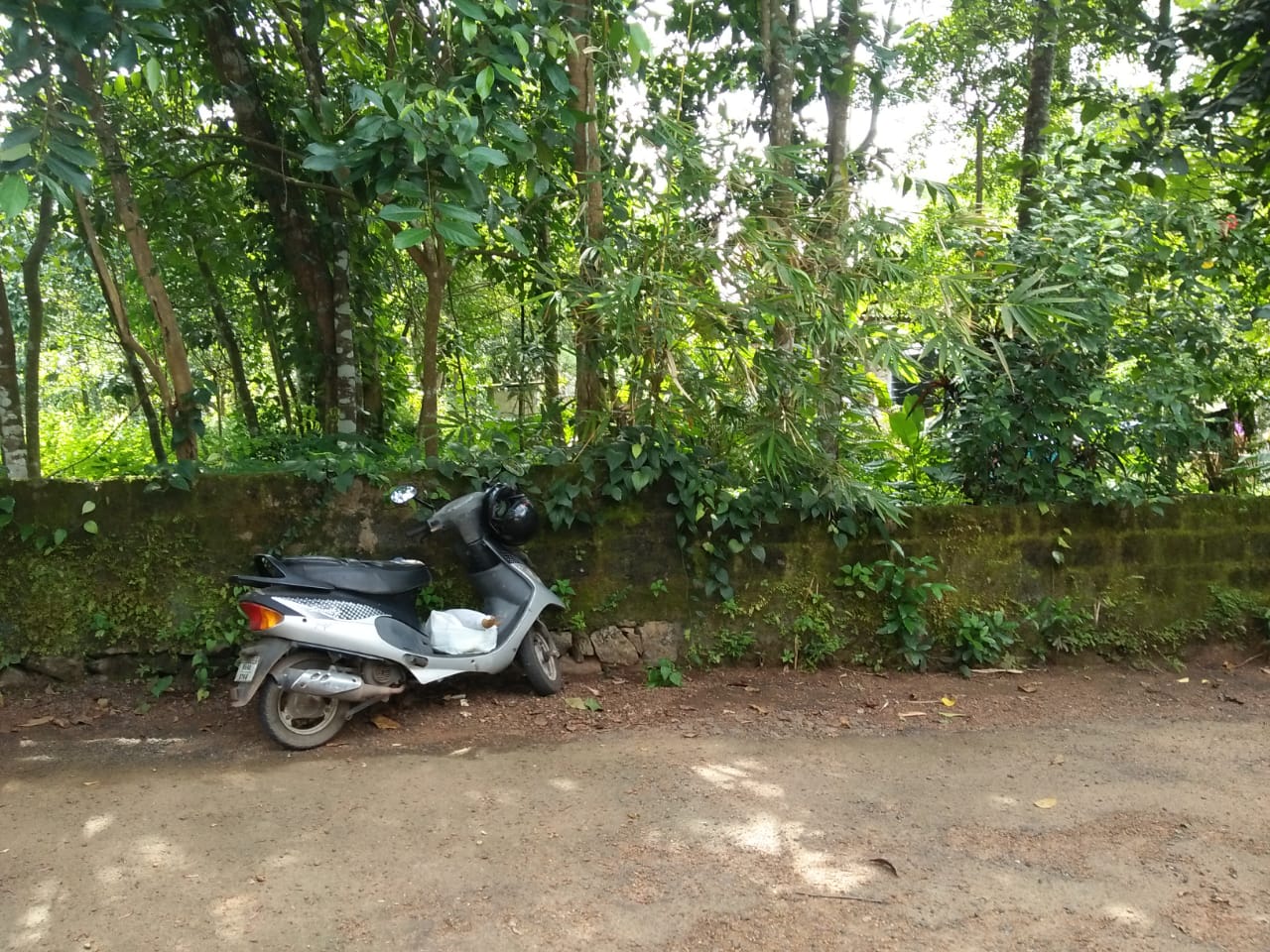 110Cents of Land - for sale in Pallikkara , Kochi ( Ernakulam ), Kerala