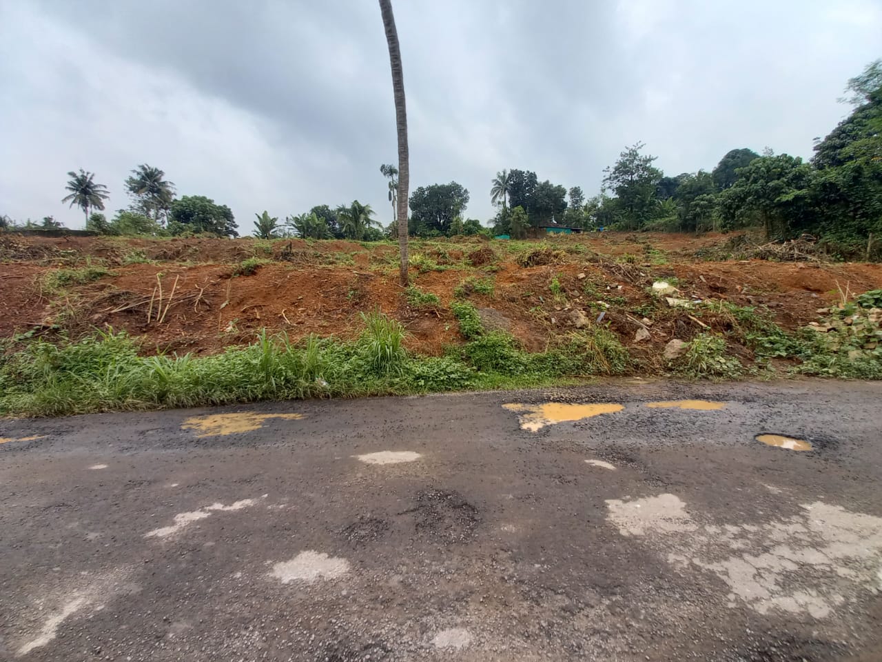 114Cents Land - for sale in Pinarmunda , Kochi ( Ernakulam ), Kerala