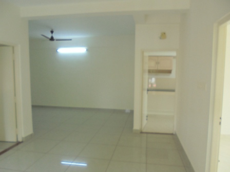 1150 sqft 3BHK flat at Kakkanad,Vazhakkala