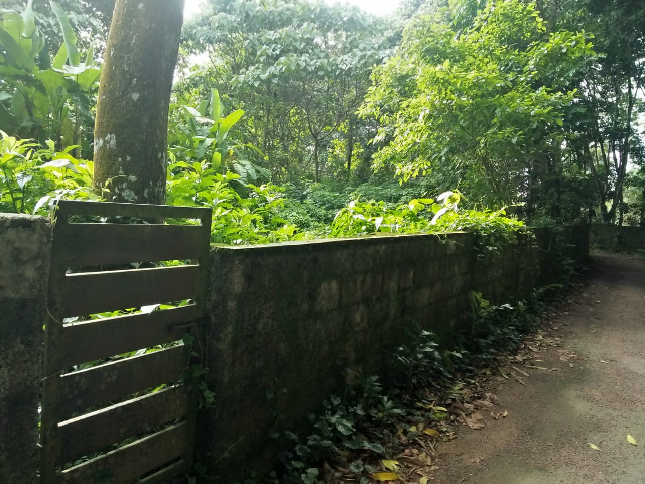 1 Acres of Land near Puliyanam, Anagamaly - for sale in Puliyanam Angamaly, Kochi ( Ernakulam ), Kerala