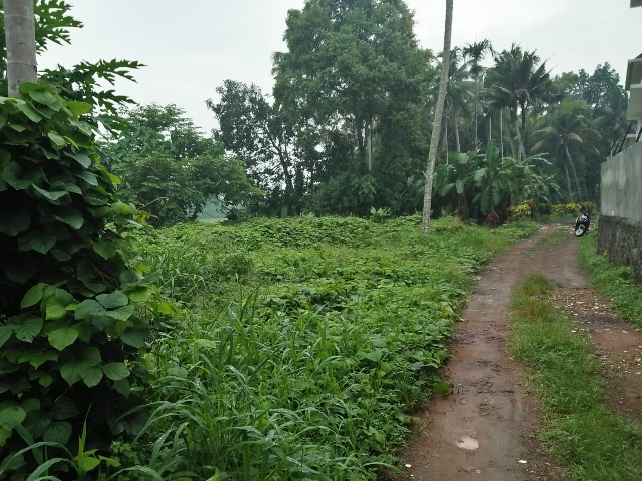 1 Acres of Land near Puliyanam, Anagamaly