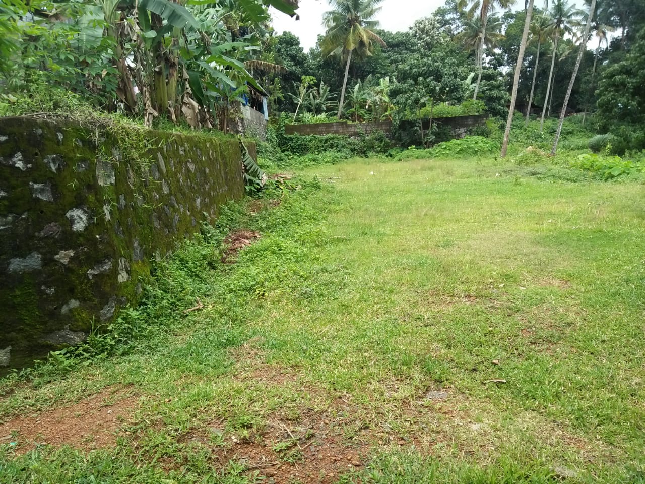 13 Cent land for sale. - for sale in Morakkala, Kochi ( Ernakulam ), Kerala
