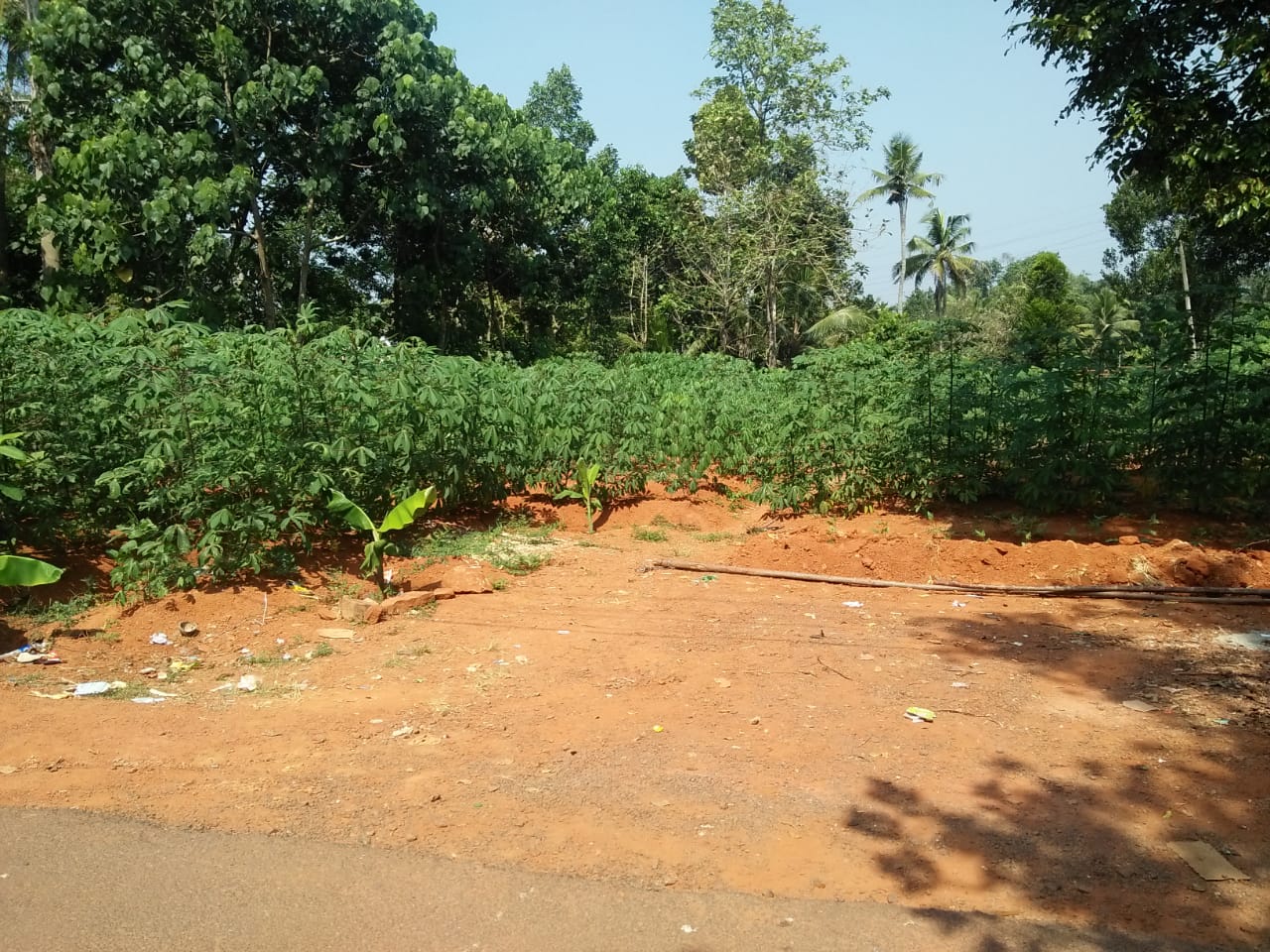 13 Cents of Land - for sale in Pallikkara , Kochi ( Ernakulam ), Kerala