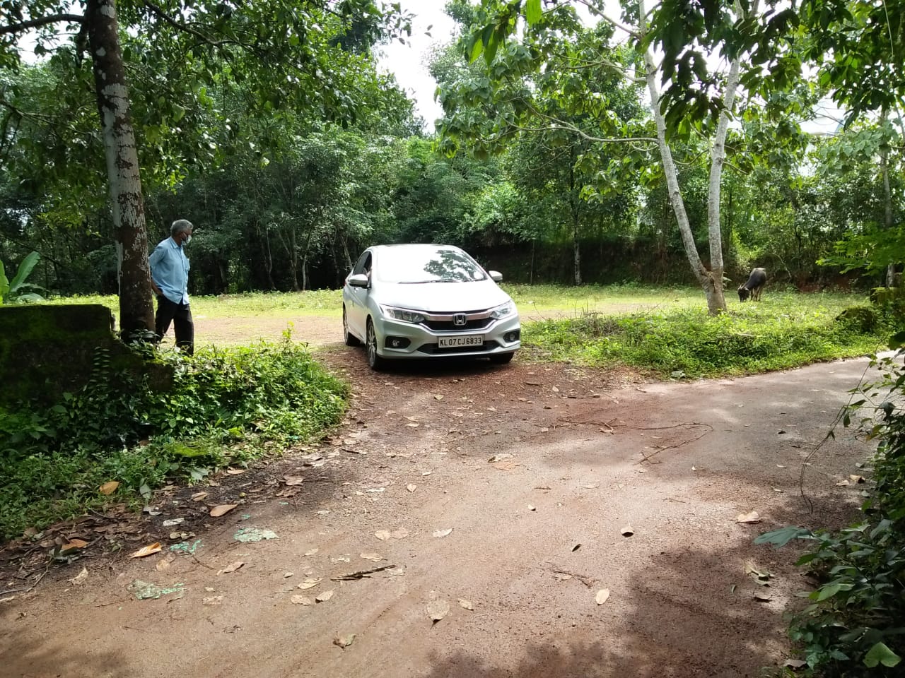 14 Cent Land  for sale. - for sale in Ambalappady Pallikkara, Kochi ( Ernakulam ), Kerala