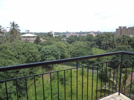 1600 sqft 3BHK Brand new flat at kakkanad