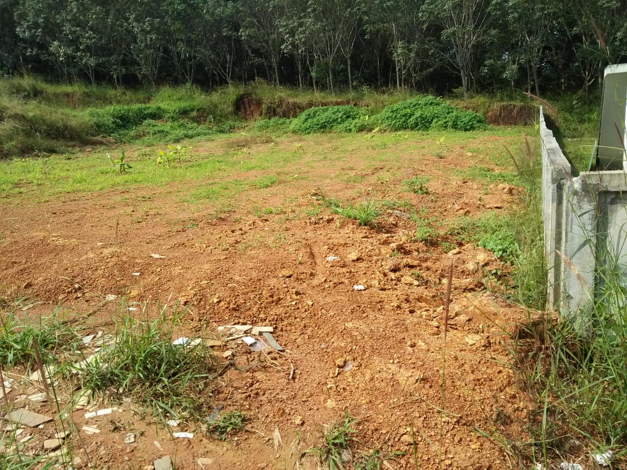 17 Cent  of Land - for sale in Pallikkara, Kochi ( Ernakulam ), Kerala