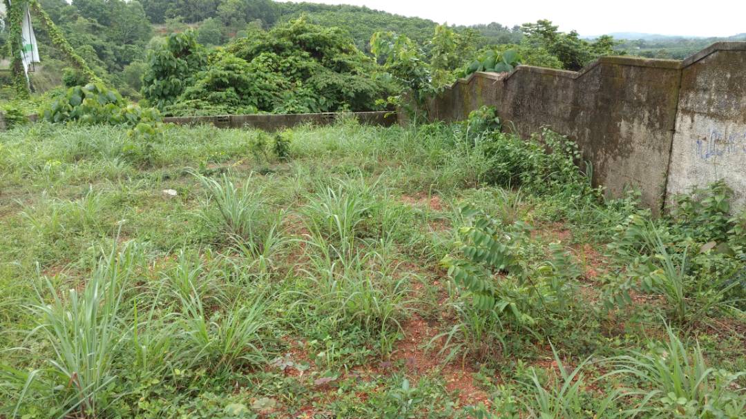 17 cents of land - for sale in Wonderlapallikkara, Kochi ( Ernakulam ), Kerala