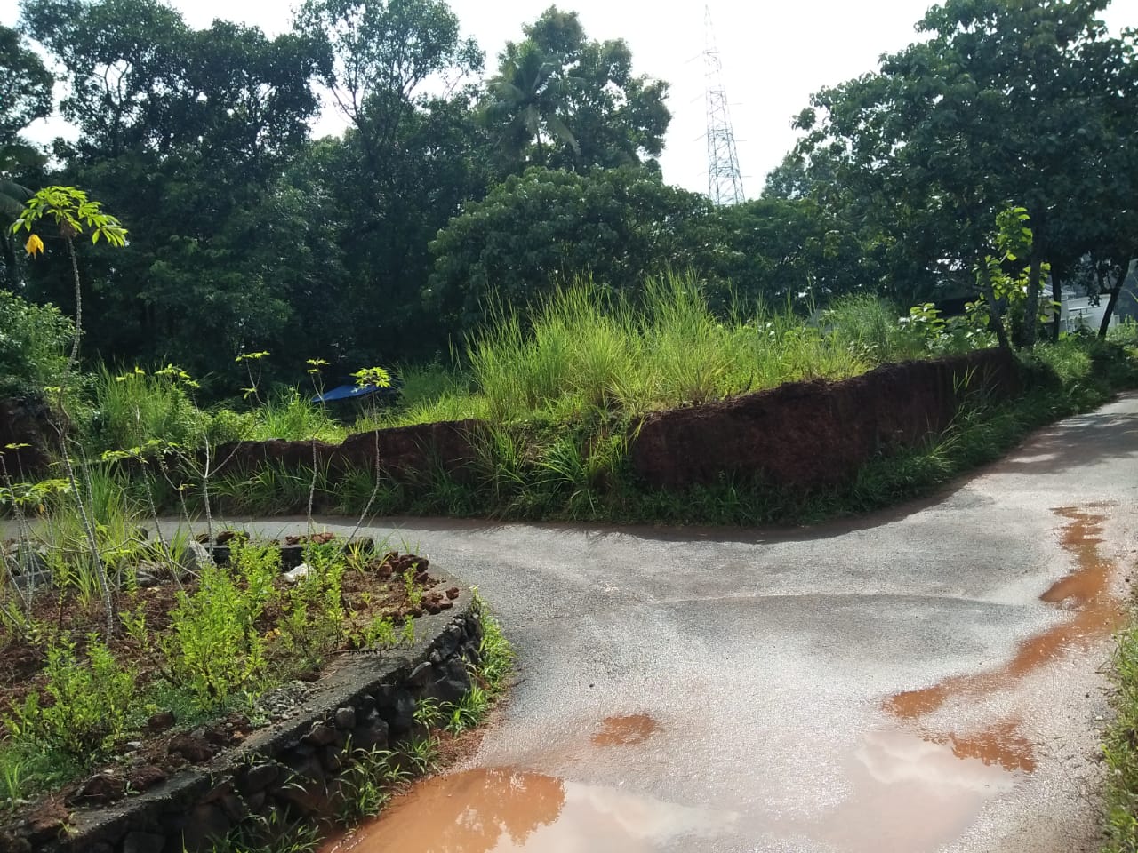 20 Cent Land for sale. - for sale in Pallikkara, Kochi ( Ernakulam ), Kerala