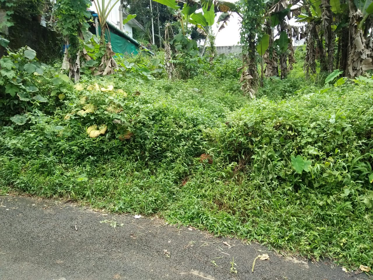 20 cent of Land - for sale in Pallikkara, Kochi ( Ernakulam ), Kerala