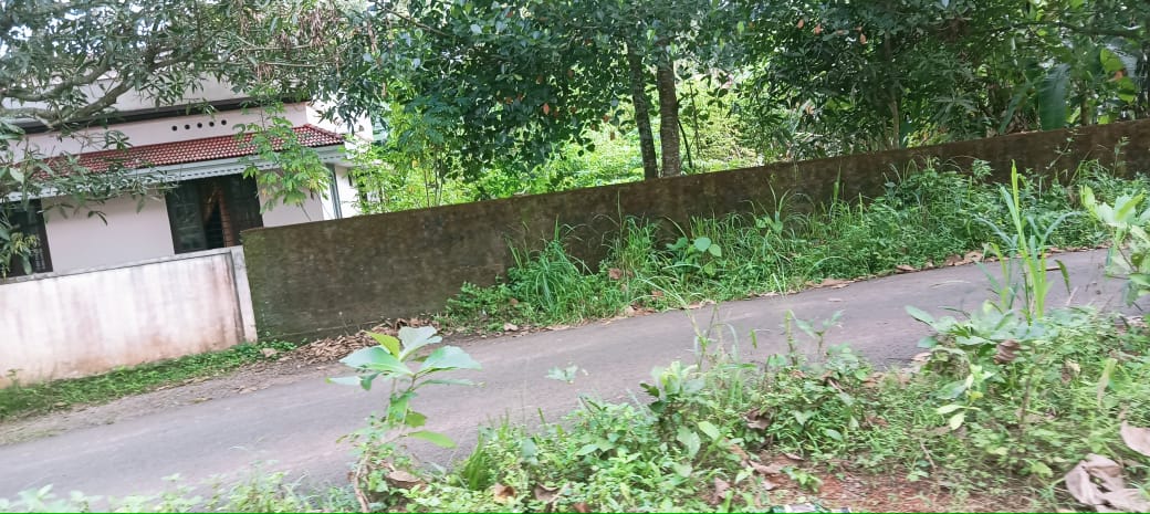 20 cent of Residential plot in Puthanpalli, Pallikkara