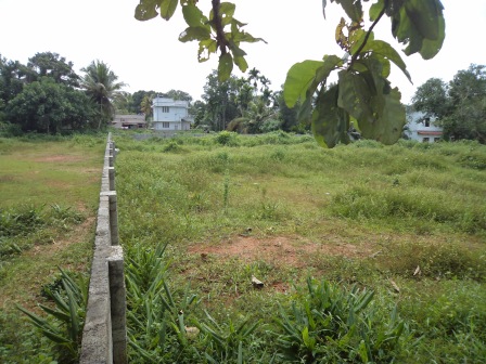 20 cents of land