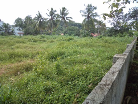 20 cents of land