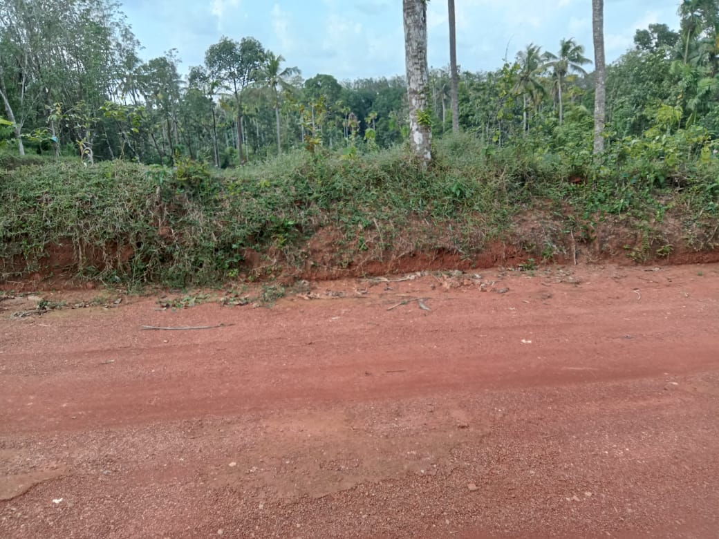 9BHK Waterview Bungalow is located 10000 sqft in Maradu - for sale in Maradu Ernakulam, Kochi ( Ernakulam ), Kerala