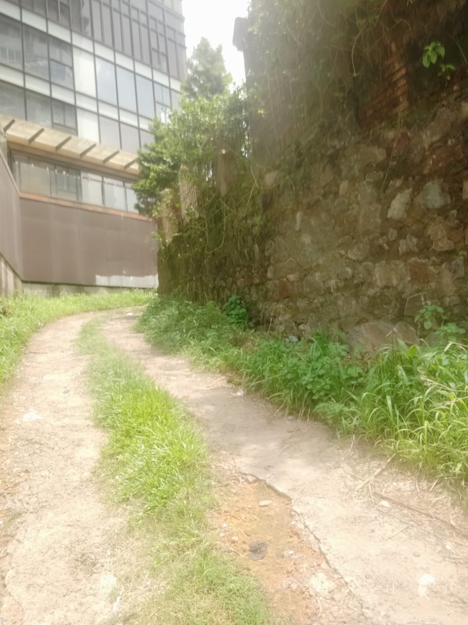 6cent of Residential Plot in Thrikkakkara, Edapilly - for sale in Thrikkakkara Edappilly, Kochi ( Ernakulam ), Kerala