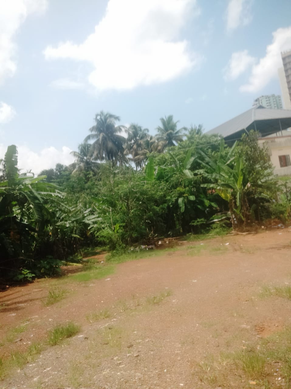 6cent of Residential Plot in Thrikkakkara, Edapilly