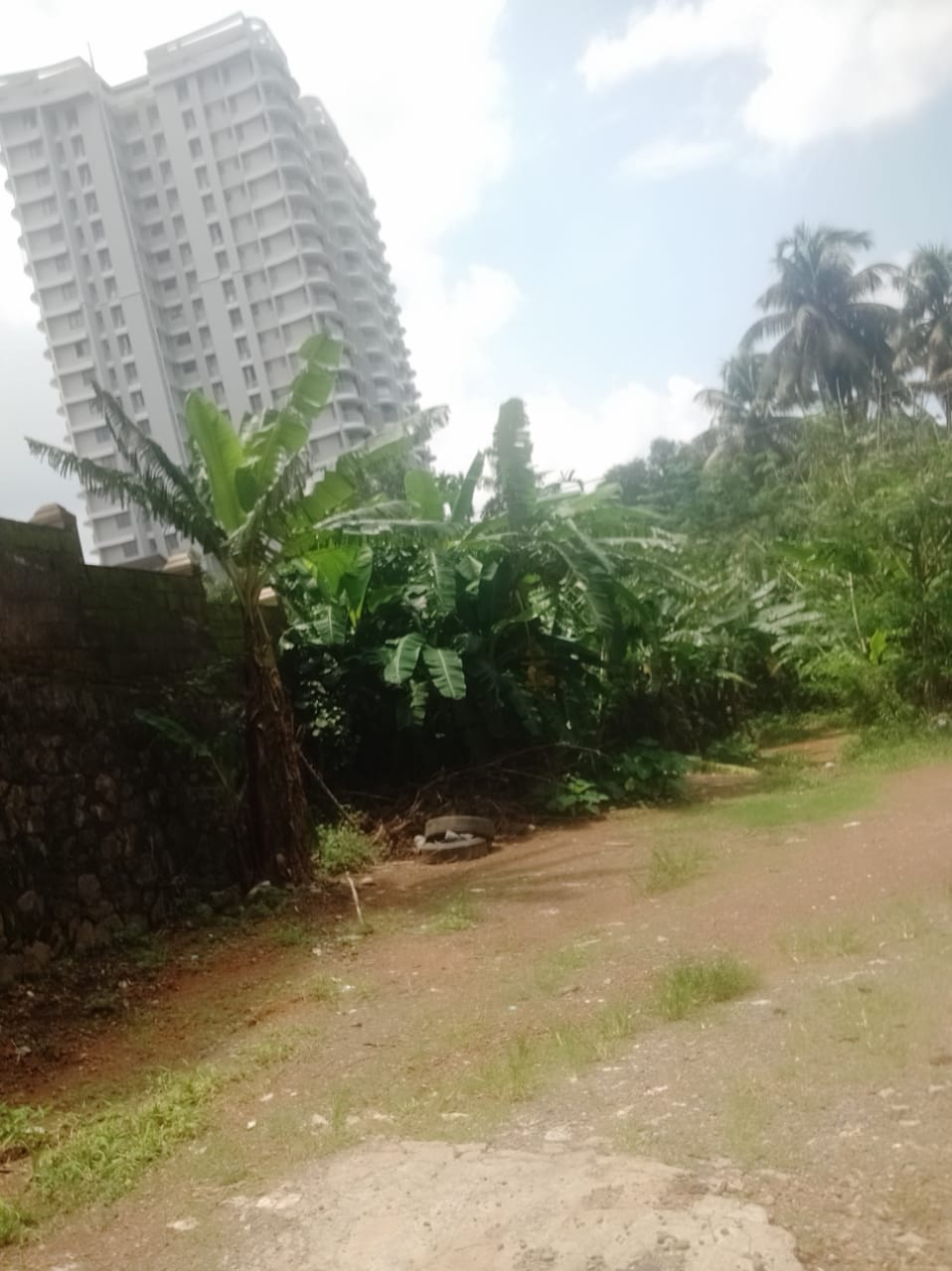 6cent of Residential Plot in Thrikkakkara, Edapilly