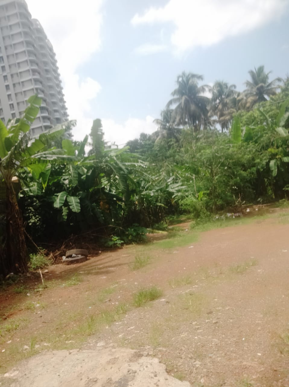 6cent of Residential Plot in Thrikkakkara, Edapilly