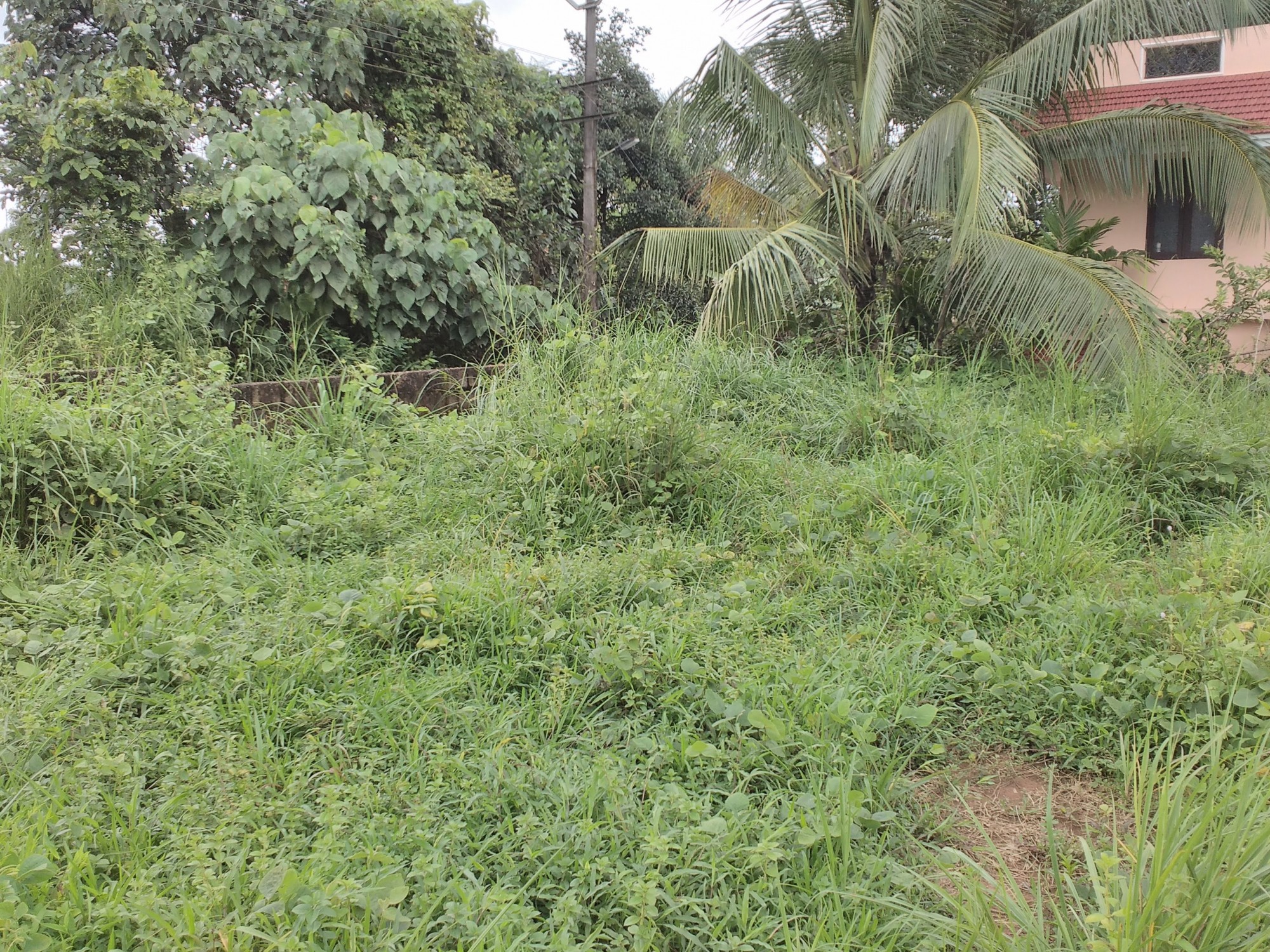 2 BHK Furnished flat in Elamakkara, Kaloor,1047sqft