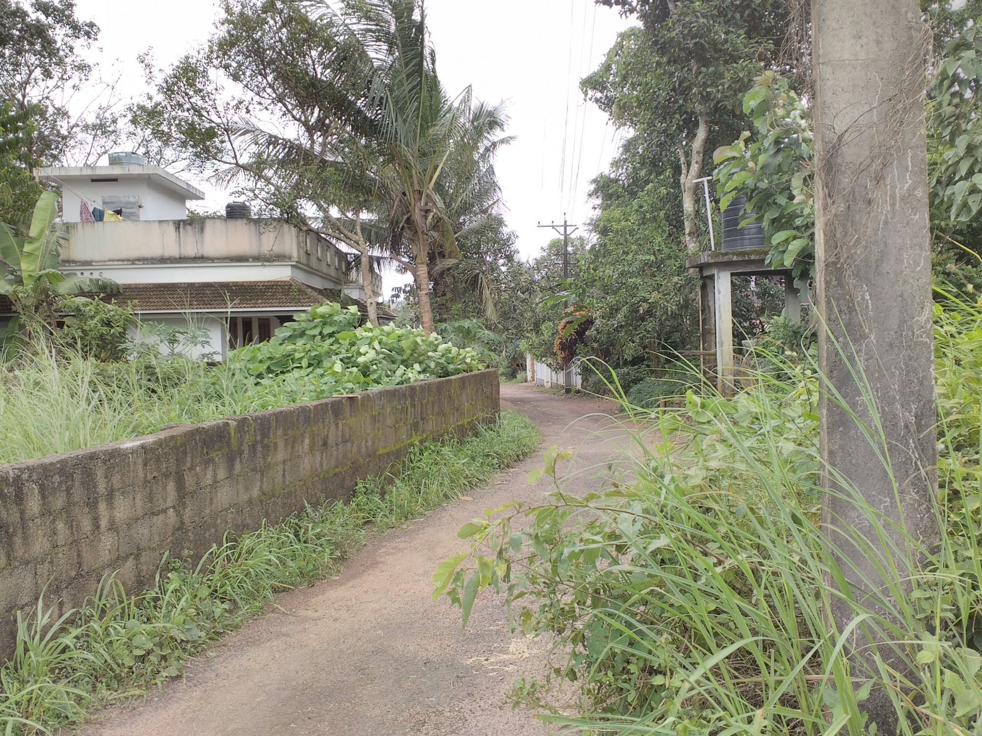 2 BHK Furnished flat in Elamakkara, Kaloor,1047sqft