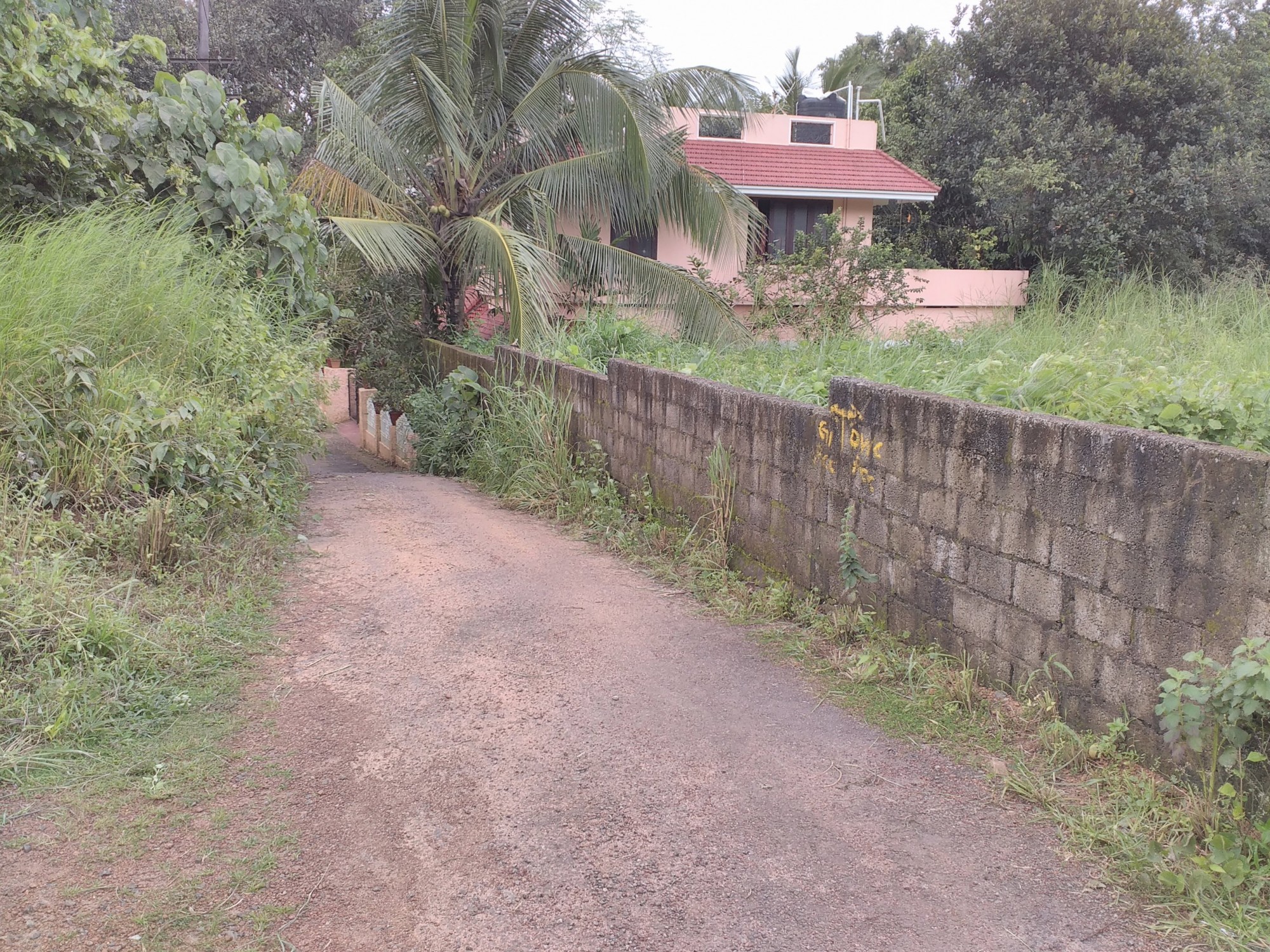 2 BHK Furnished flat in Elamakkara, Kaloor,1047sqft