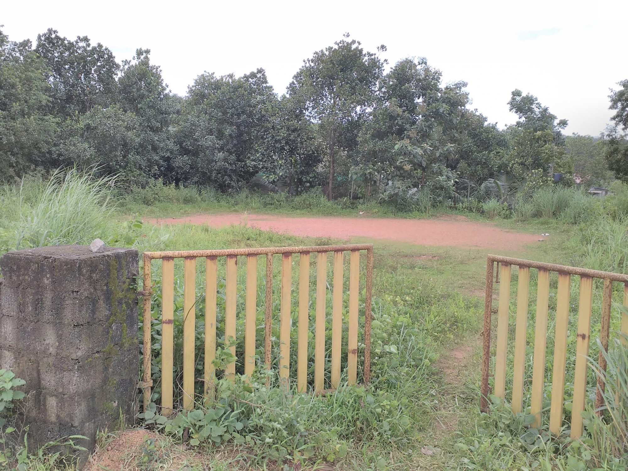 2 BHK Furnished flat in Elamakkara, Kaloor,1047sqft