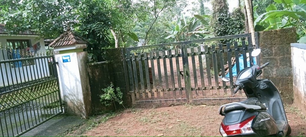 24cent of Residential Plot in Pazhamthottam, Pallikkara
