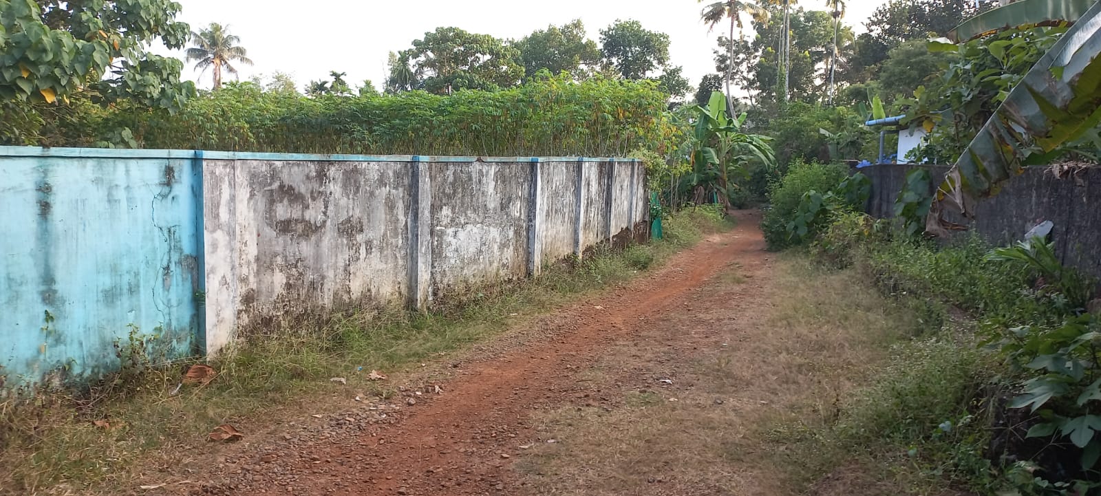 25cent land with old house in Kakkanad