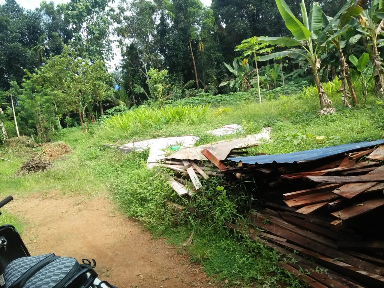 26Cent of Land