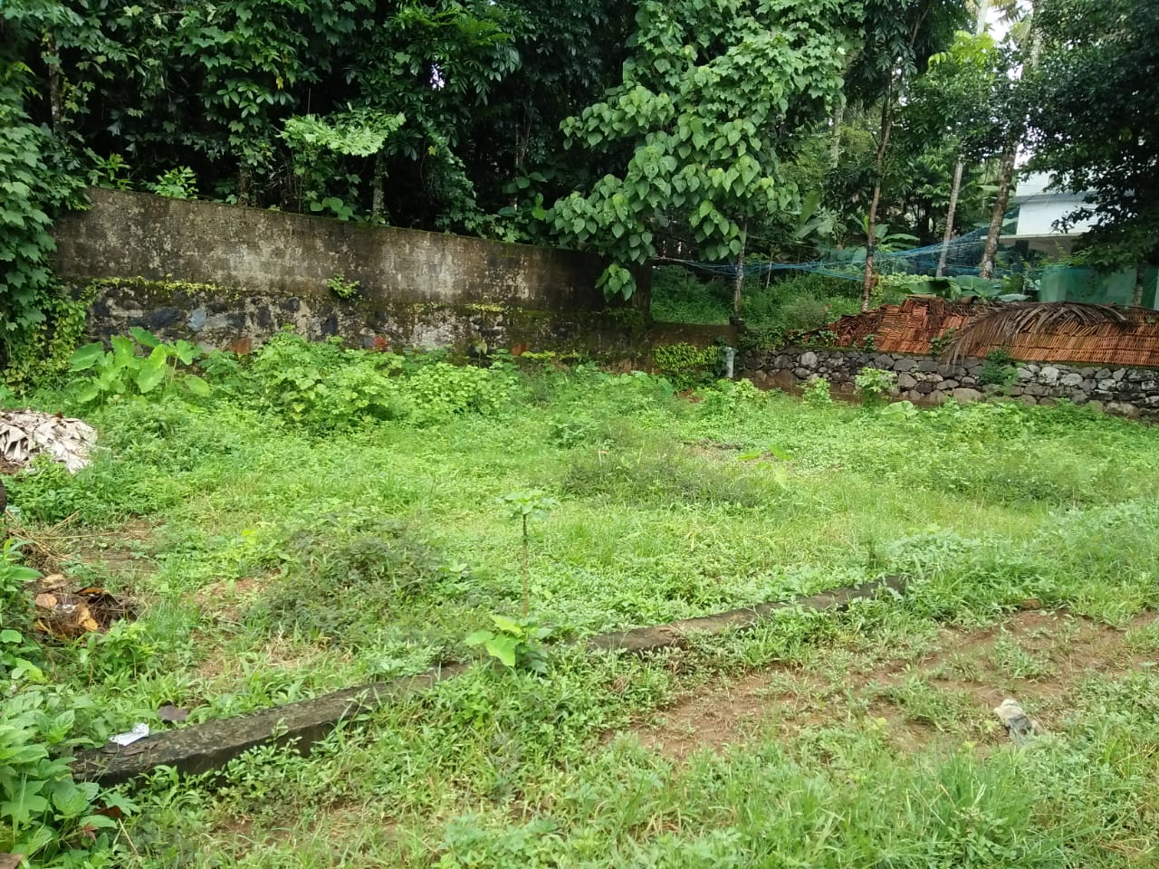 3.5 Cent Land  for sale. - for sale in Pallikkara, Kochi ( Ernakulam ), Kerala