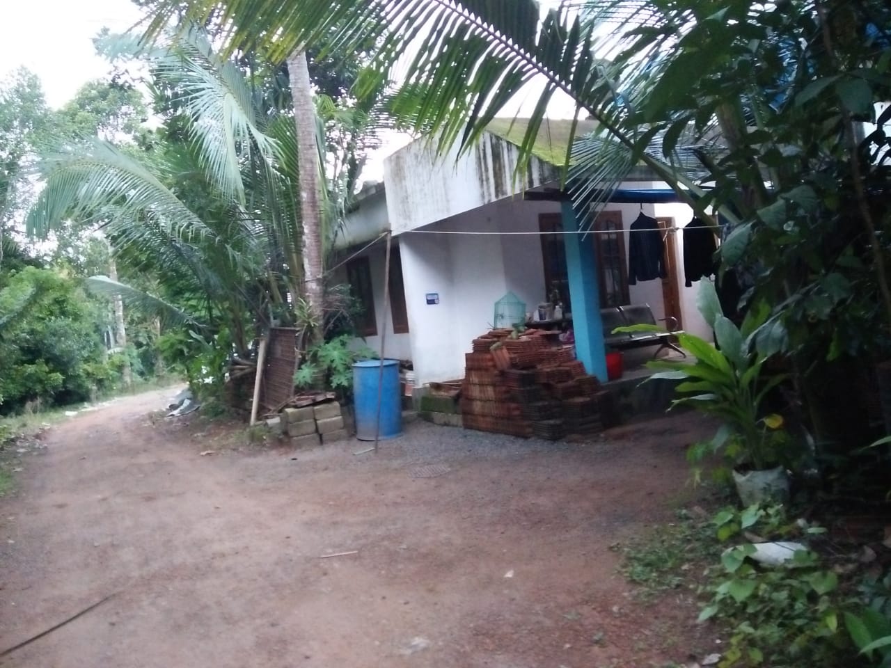 3 BHK House for sale850 Sqft. - for sale in Pazhamthottam, Kochi ( Ernakulam ), Kerala