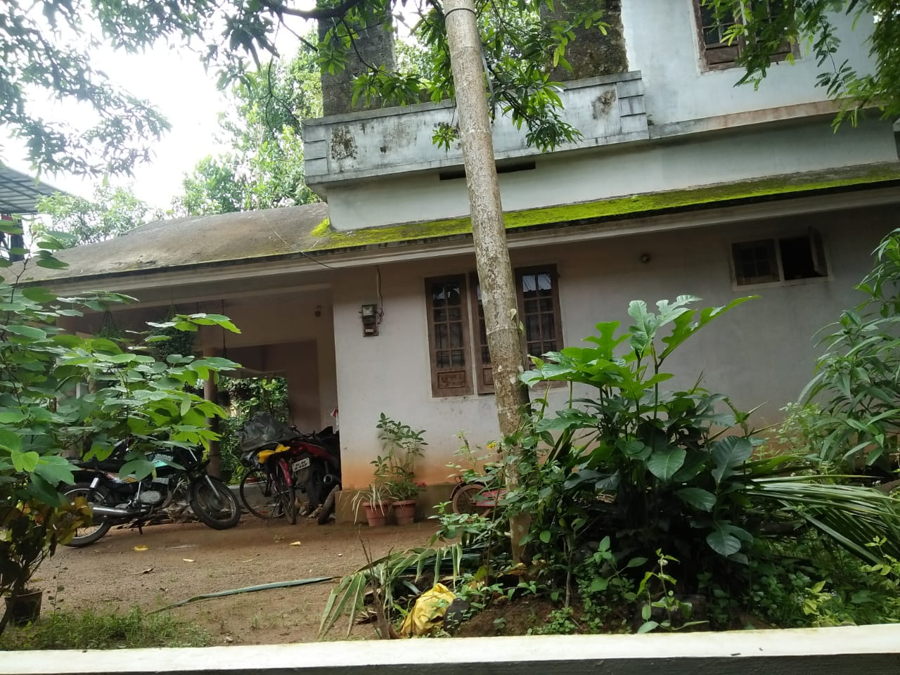 3 BHK House on 11.5 Cent land for sale1400 Sqft - for sale in Pallikkara, Kochi ( Ernakulam ), Kerala