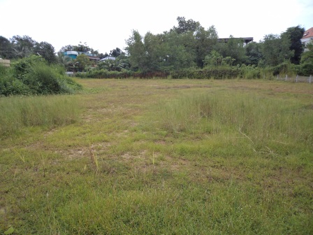 30 cents of land
