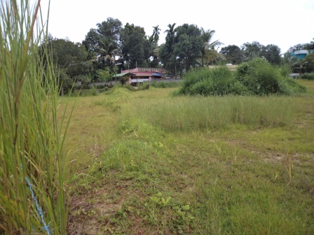 30 cents of land