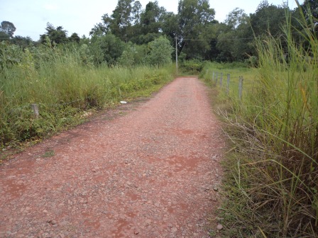 30 cents of land