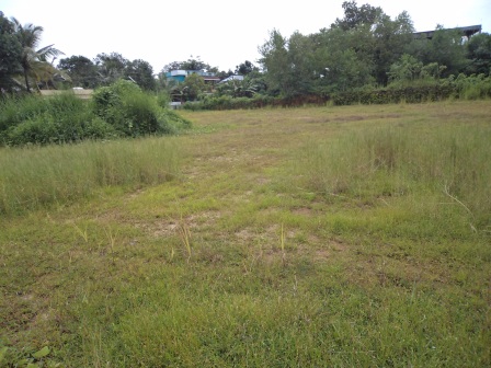30 cents of land