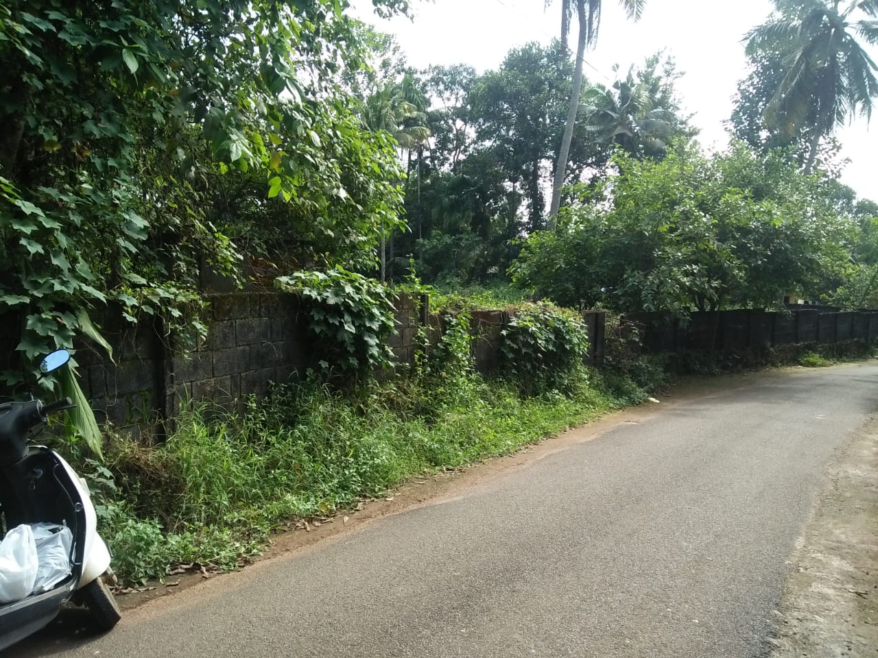 30Cent Land - for sale in Pallikkara, Kochi ( Ernakulam ), Kerala