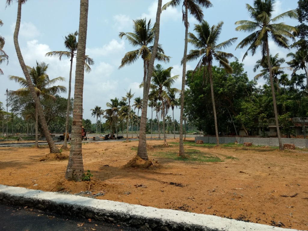 3cents of land