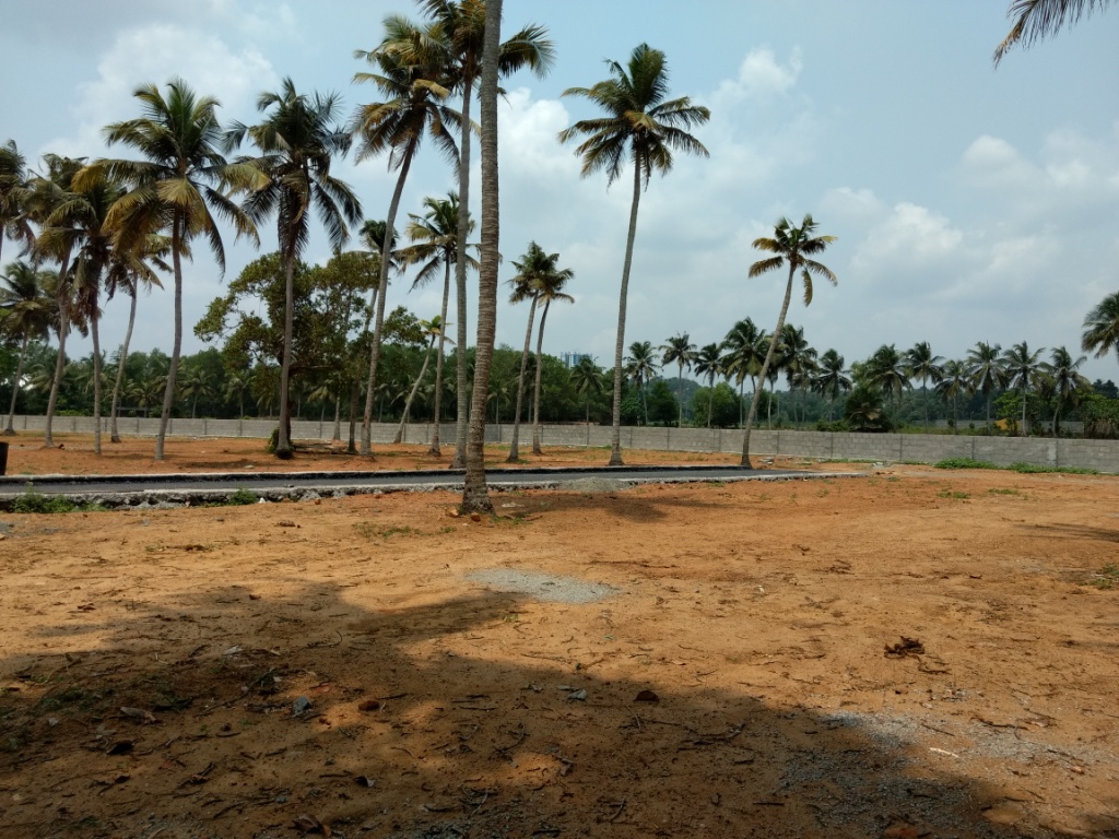3cents of land