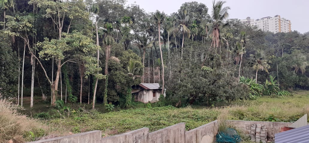 4 Acres of Commercial property - for sale in Infopark, Kochi ( Ernakulam ), Kerala