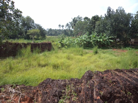 4 cents of residential land
