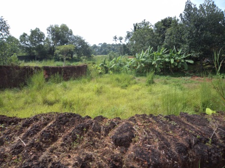 4 cents of residential land