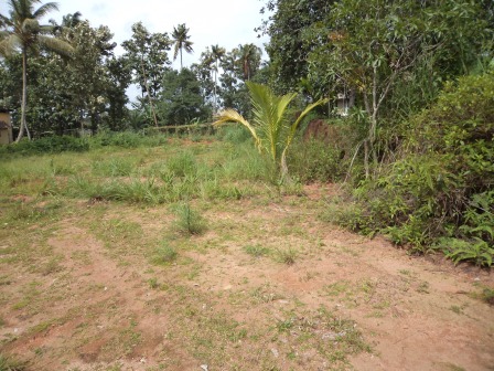 4 cents of residential land