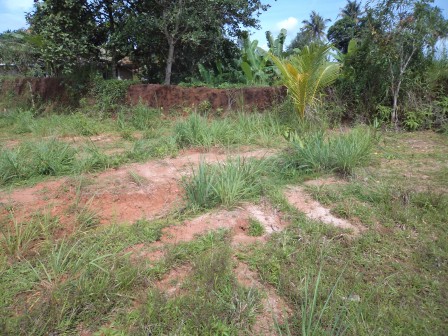 4 cents of residential land