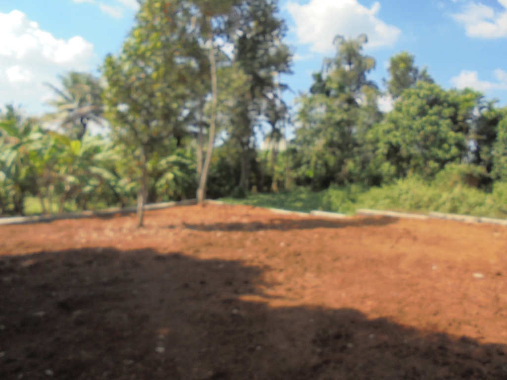 4 to 8 cents of land