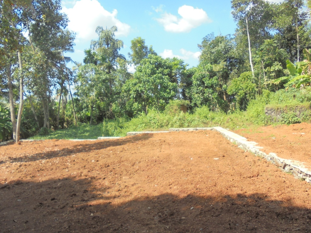 4 to 8 cents of land
