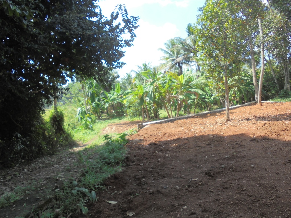 4 to 8 cents of land
