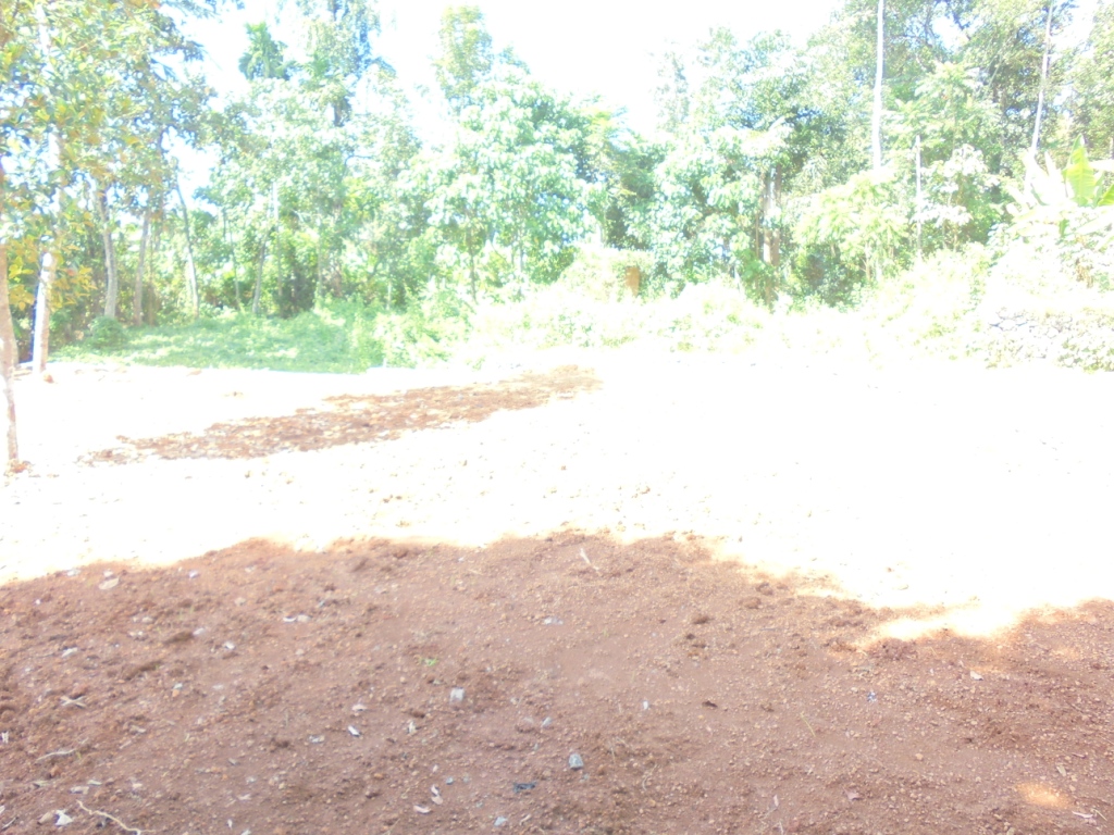 4 to 8 cents of land